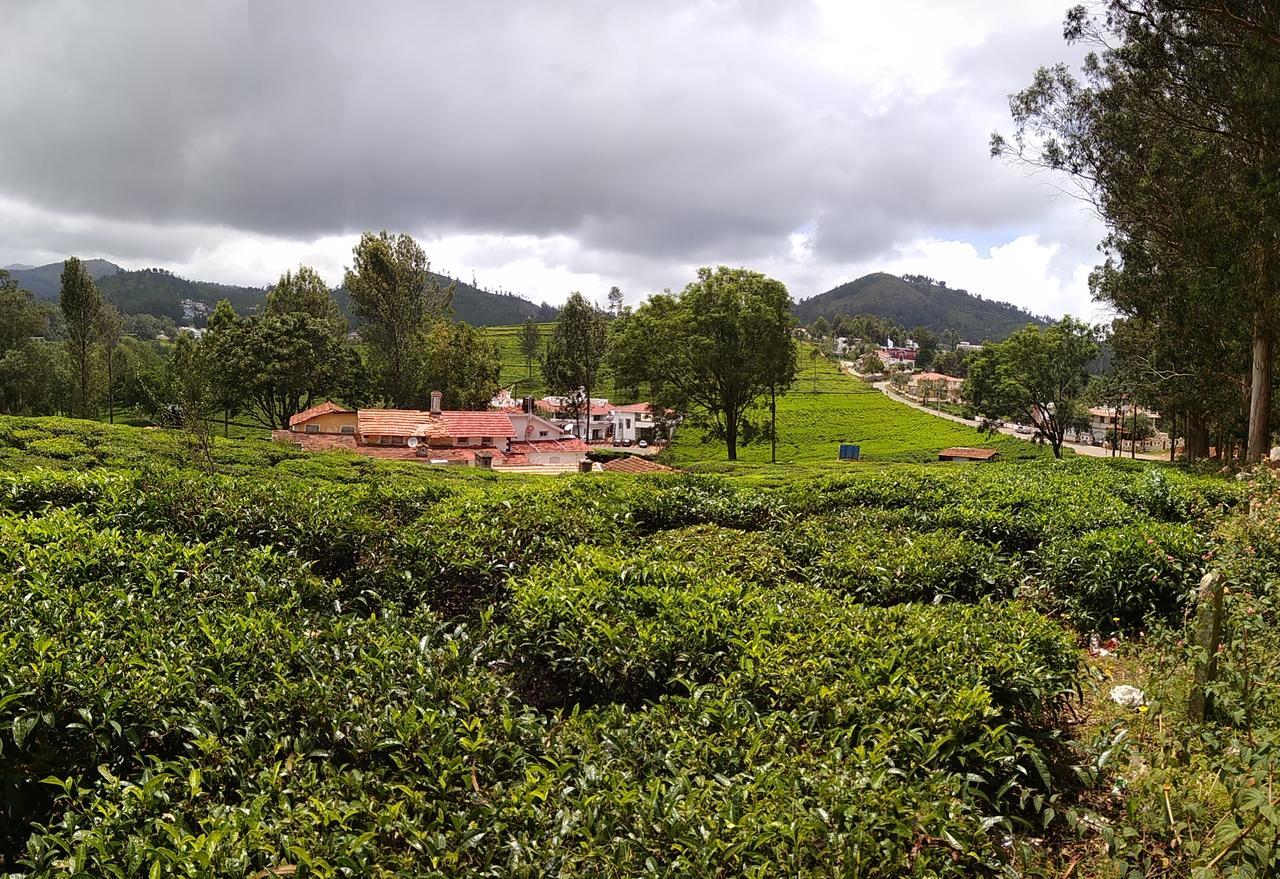 Myspace Holiday Inn Ooty Dış mekan fotoğraf